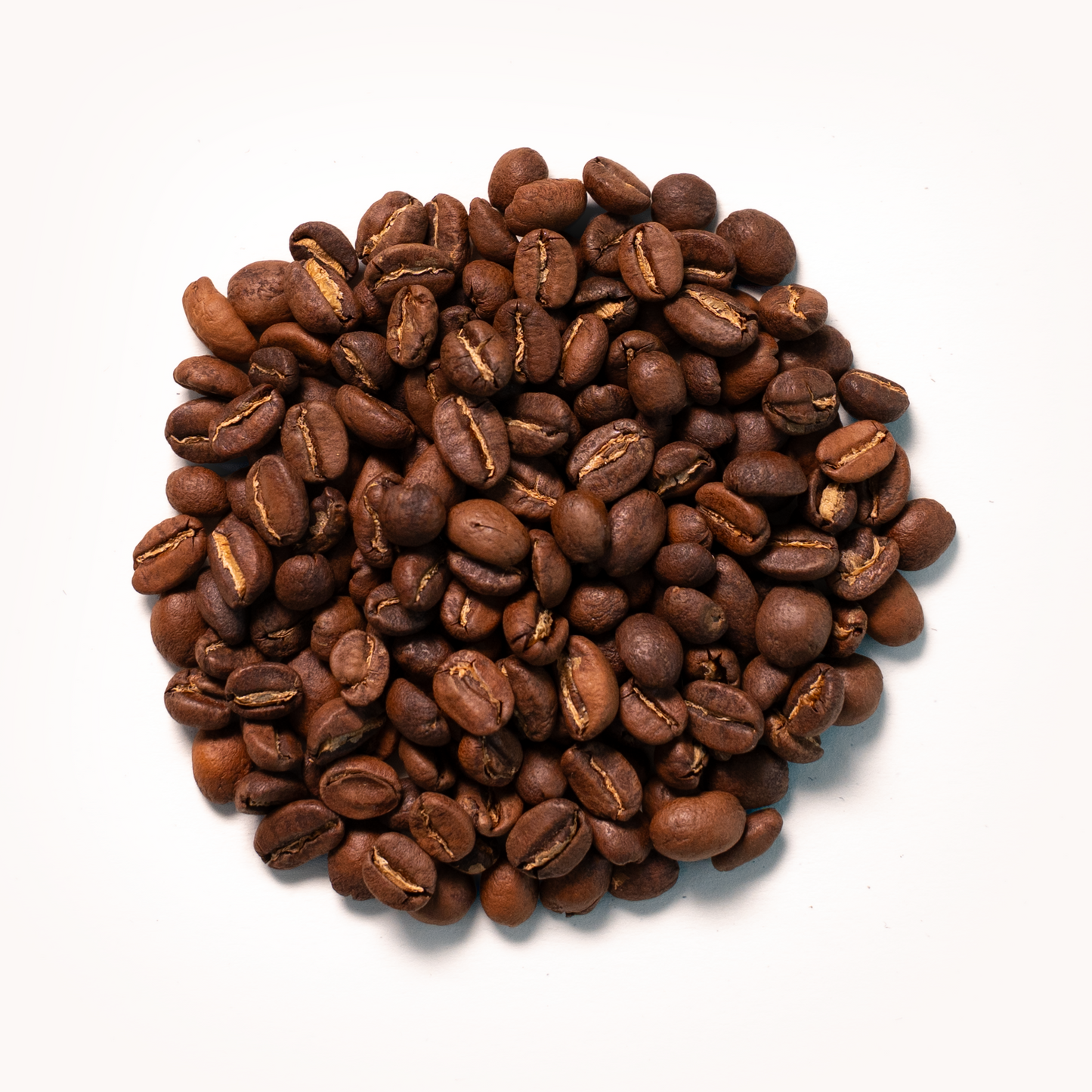 Ethiopia - Gedeb Worka Sakaro